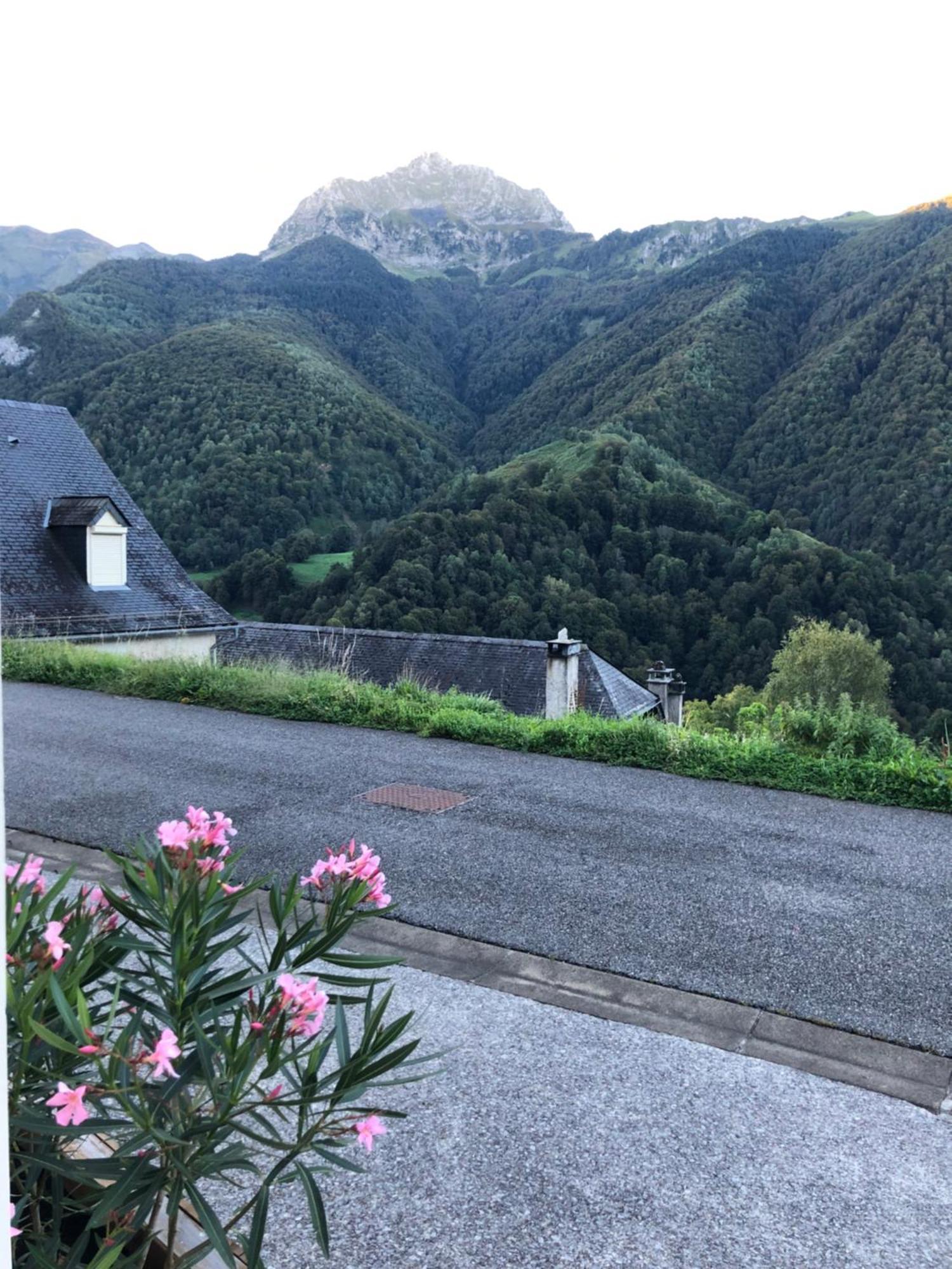 Auberge Des Isards Aydius Luaran gambar